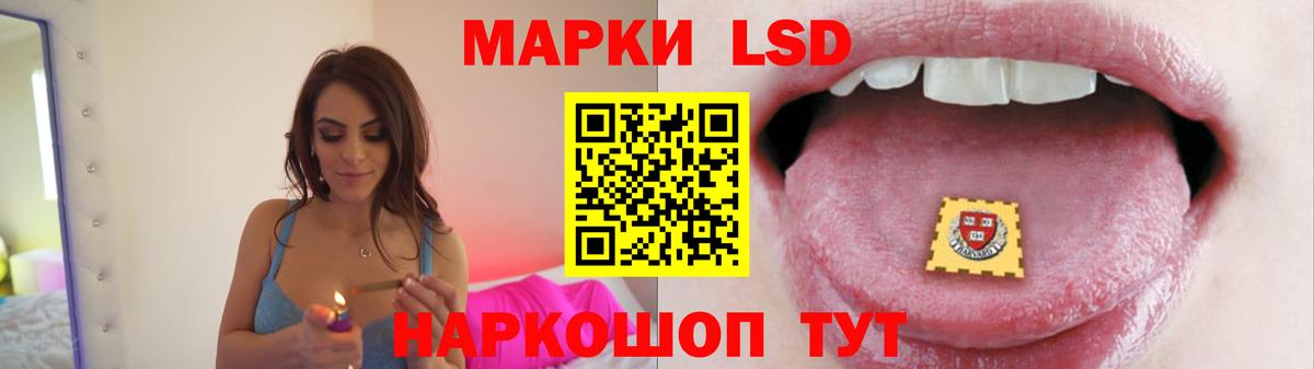 Лсд 25 экстази ecstasy  Лсд 25 экстази ecstasy  Вход с VPN  Горячий Ключ 