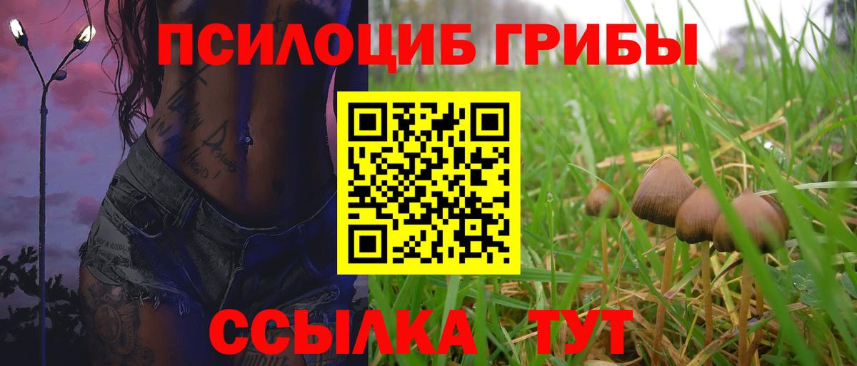 Псилоцибиновые грибы мухоморы Горячий Ключ